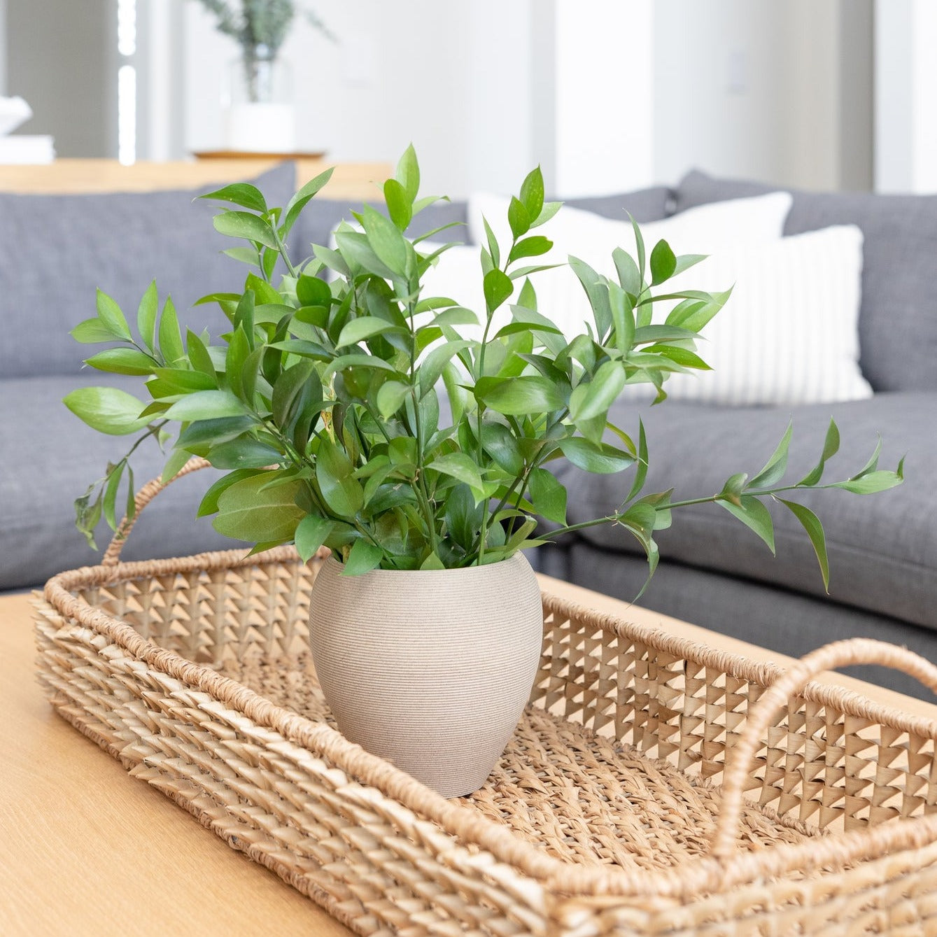 Vessel Vase