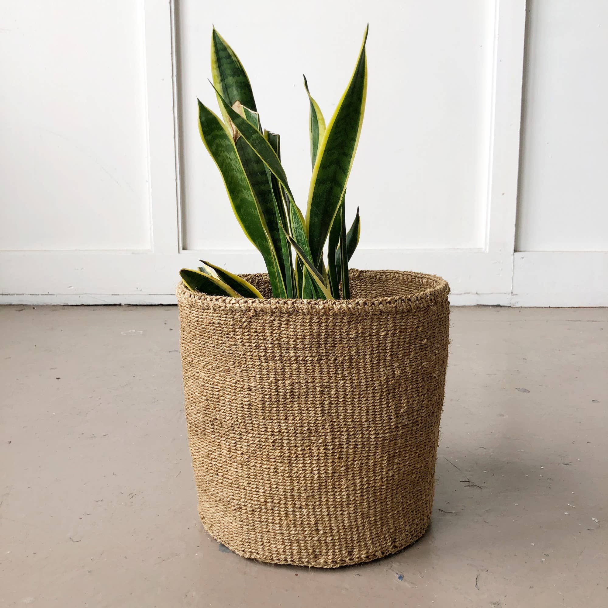 large woven basket for plants Acorn Plant Basket