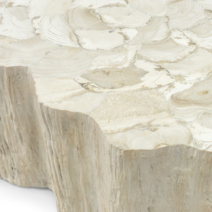 Caroline Fossilized Clam Coffee Table