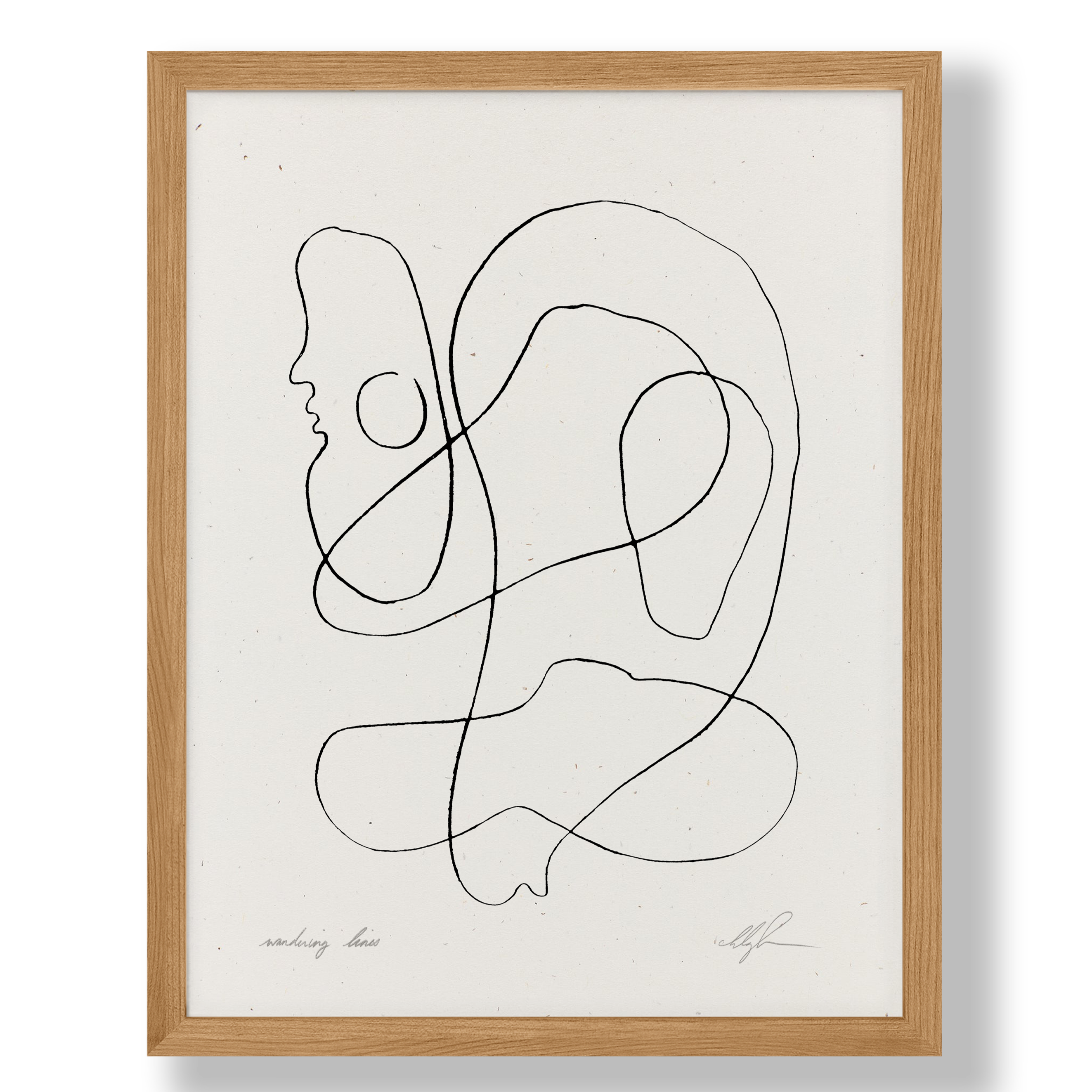 Wandering Lines Art
