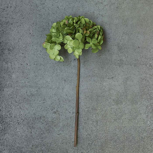 Hydrangea Stem - Green