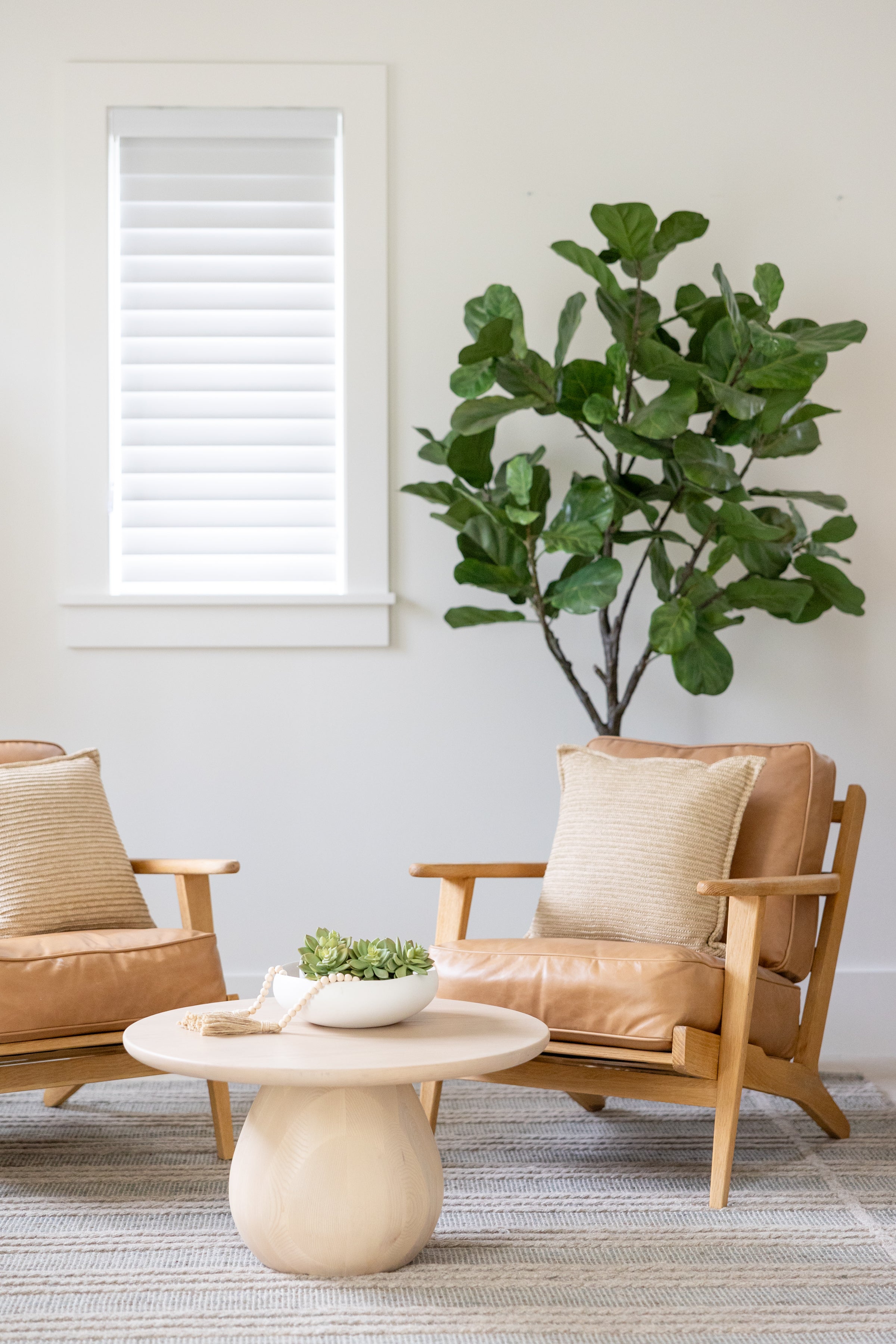 Fiddle Leaf Fig Tree