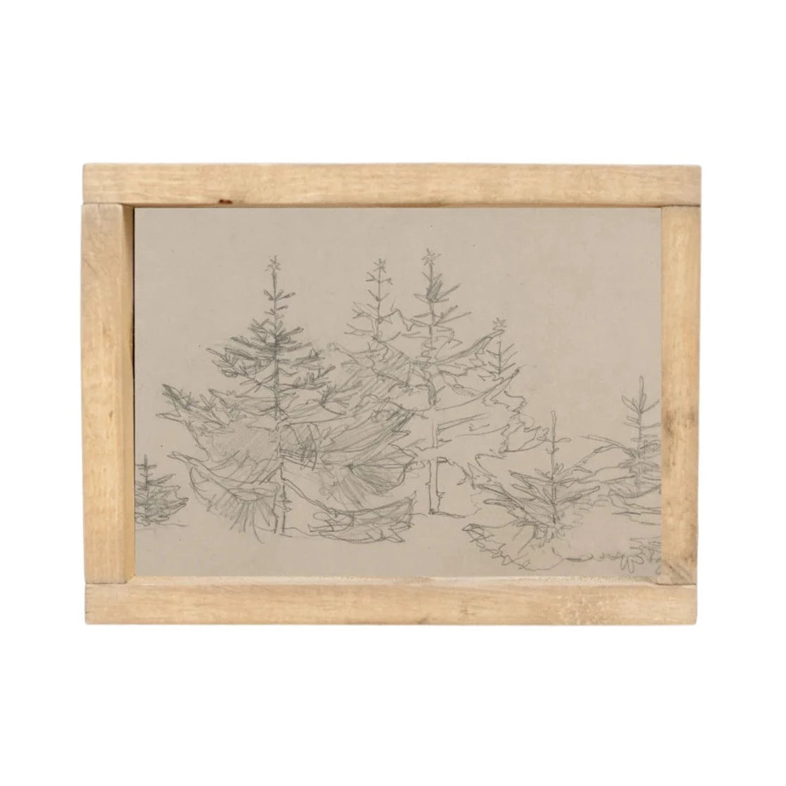 Vintage Art - Pine Sketch