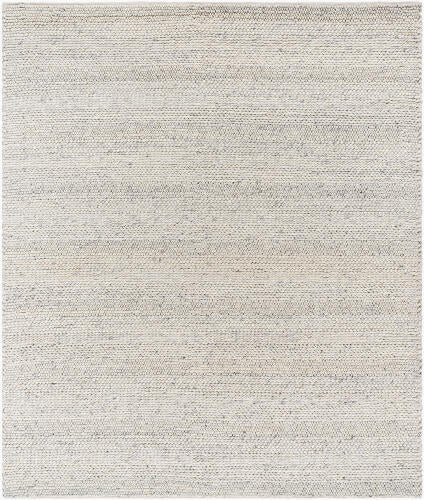 Surya 2x3 Rug